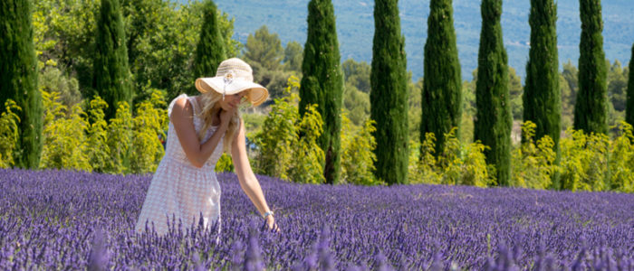 levandula