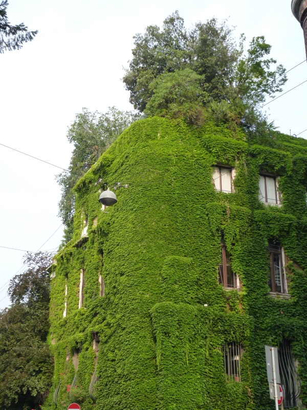 Zelený dom