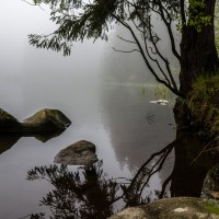 Vrbické pleso