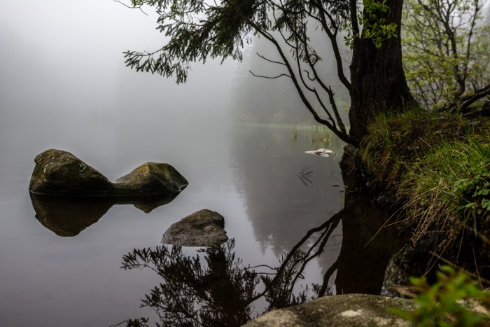 Vrbické pleso