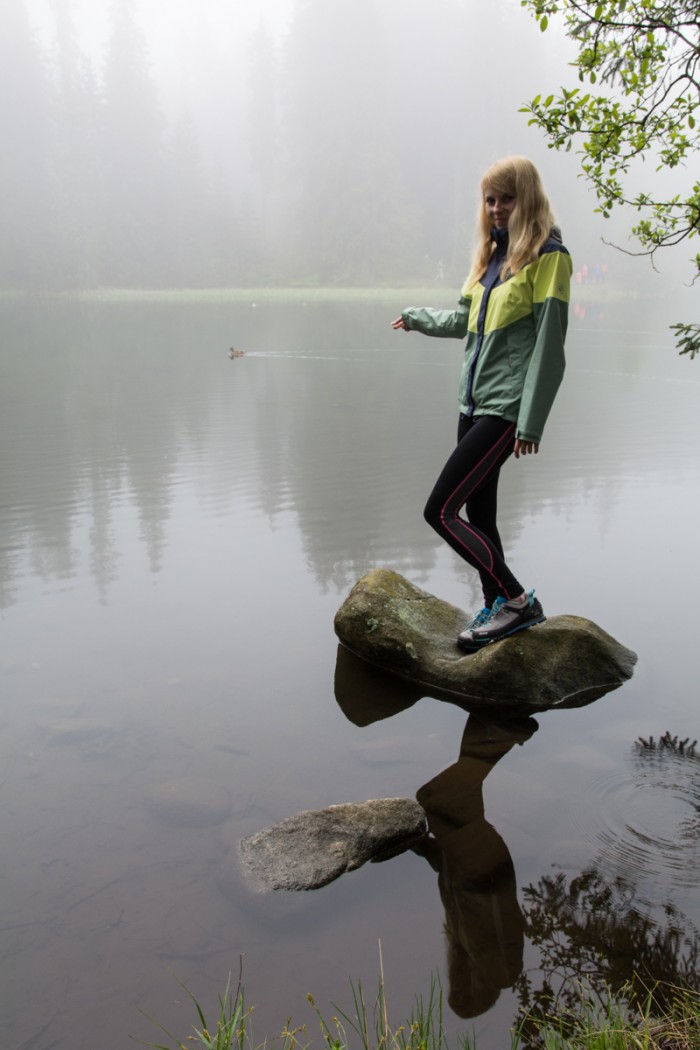 Vrbické pleso