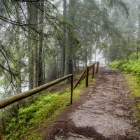 Vrbické pleso