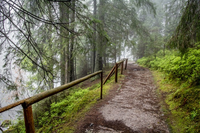 Vrbické pleso