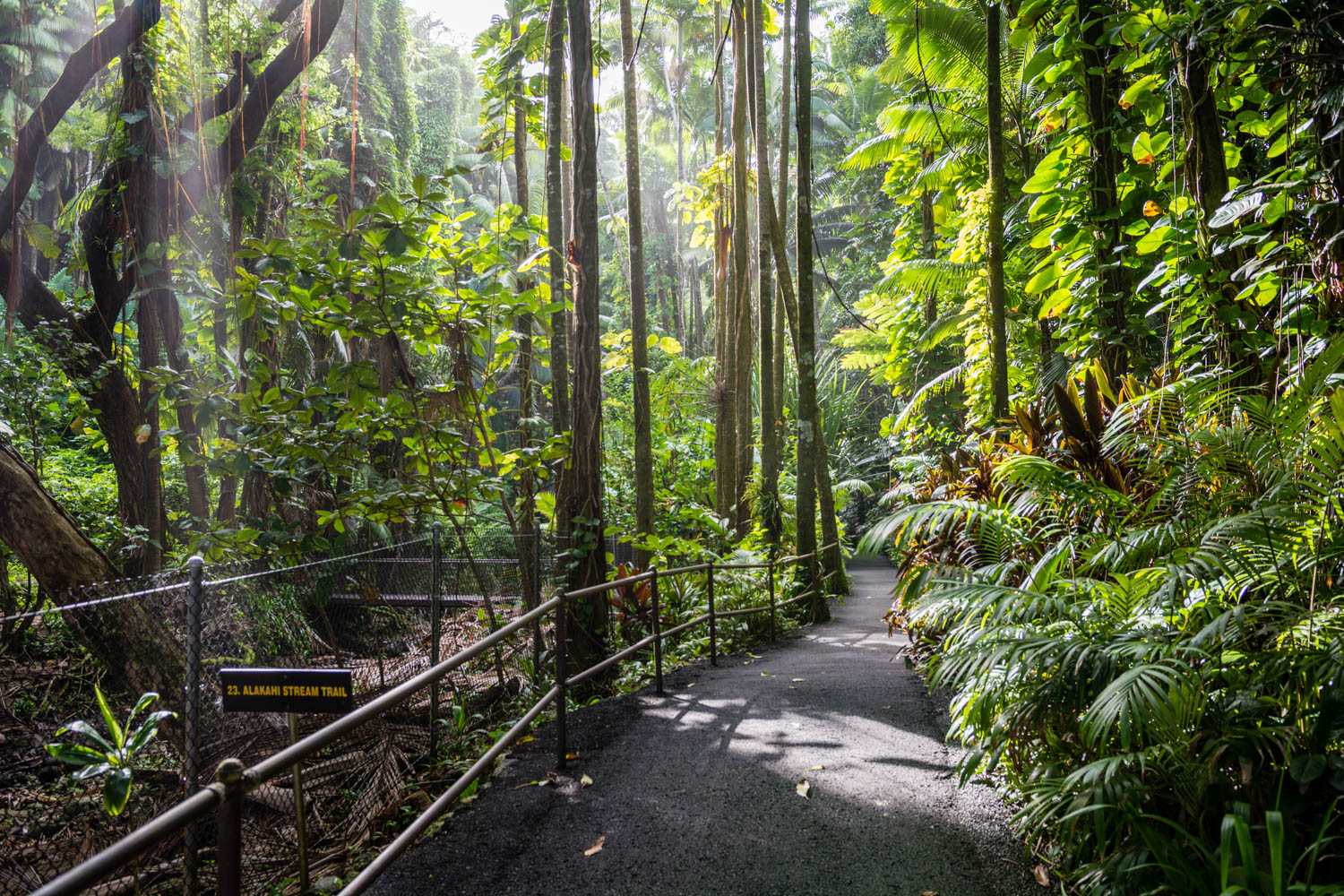 Tropical Botanic Garden